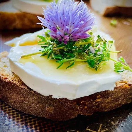 La Main Du Cœur D'hôtes De Charme à La Campagne Bed & Breakfast 3*