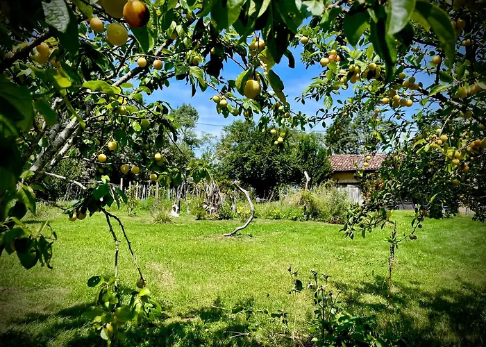 Nocleg ze śniadaniem La Main Du Coeur D'hotes De Charme A La Campagne 3*
