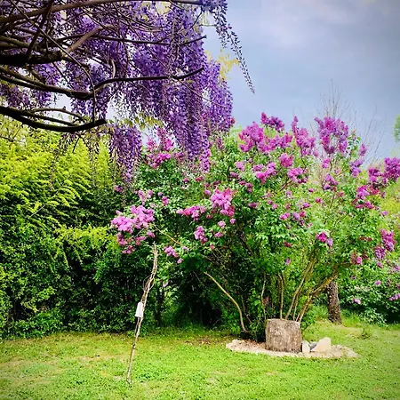 Couette-café La Main Du Cœur D'hôtes De Charme à La Campagne 3*