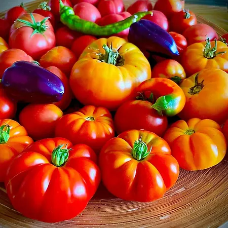 La Main Du Coeur D'hotes De Charme A La Campagne