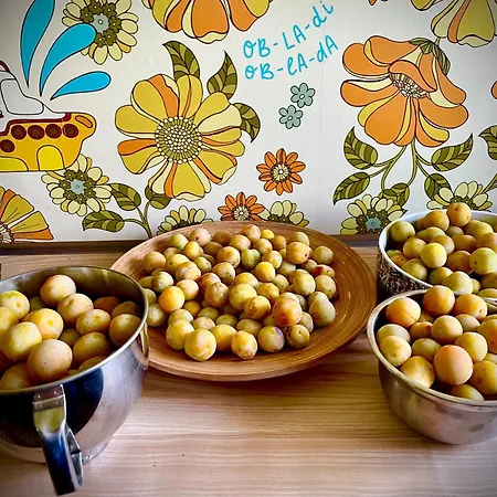 Bed & Breakfast La Main Du Coeur D'hotes De Charme A La Campagne Loubens-Lauragais