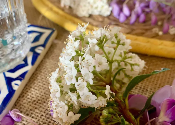 La Main Du Coeur D'hotes De Charme A La Campagne 3*