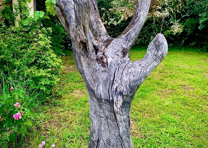 La Main Du Coeur D'hotes De Charme A La Campagne 住宿加早餐酒店