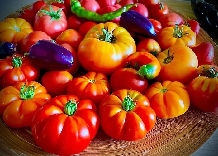 La Main Du Coeur D'hotes De Charme A La Campagne