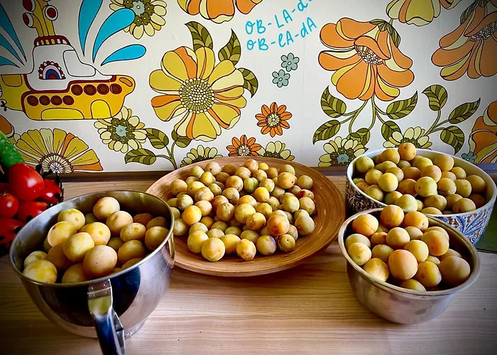 住宿加早餐酒店 La Main Du Coeur D'hotes De Charme A La Campagne Loubens-Lauragais