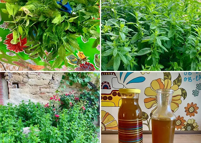 La Main Du Coeur D'hotes De Charme A La Campagne 3* Loubens-Lauragais